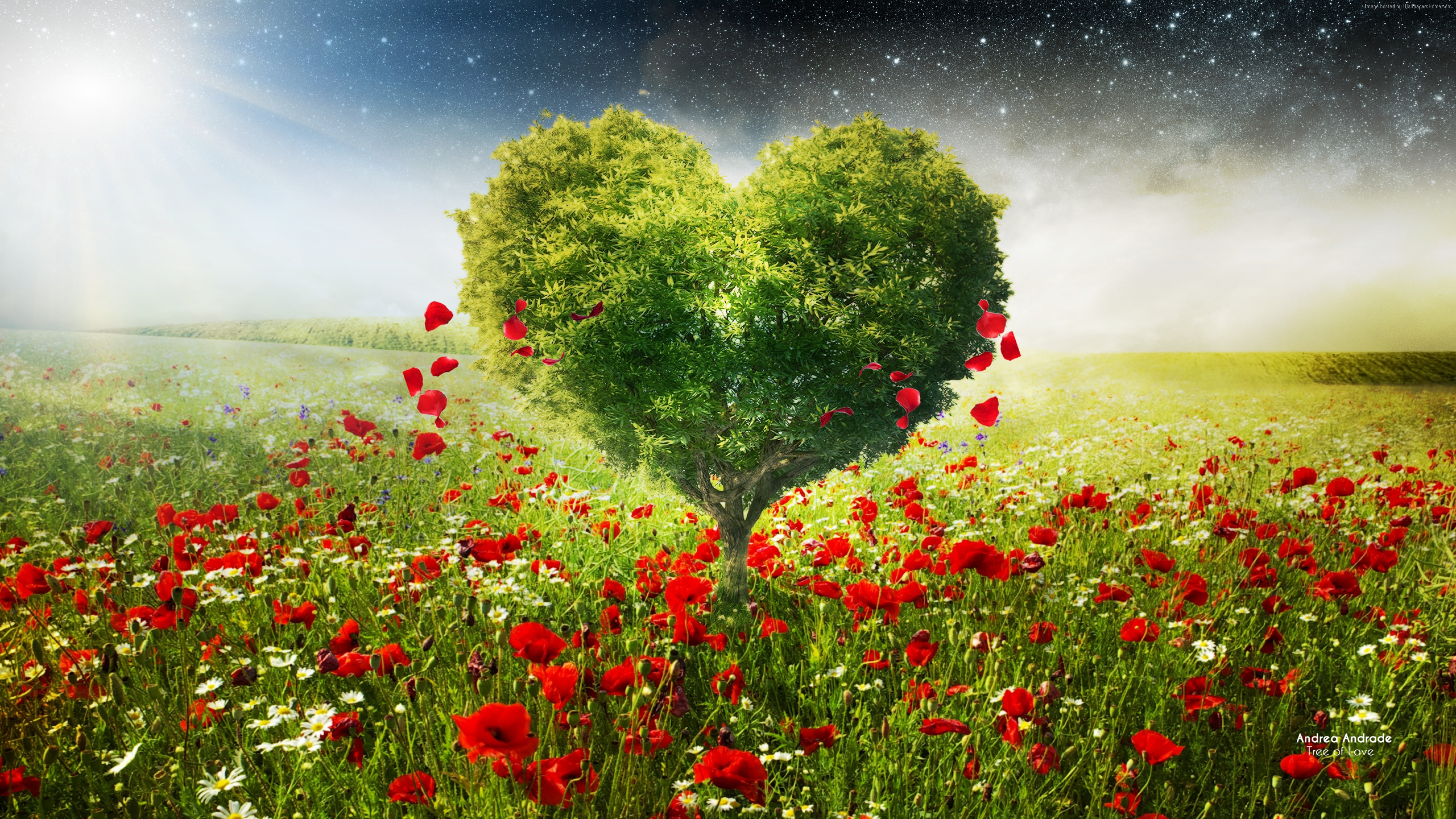 Stock Images love image, heart, HD, tree, Stock Images